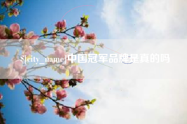 汶上中国冠军品牌是真的吗