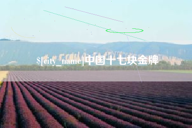 汶上中国十七块金牌