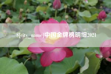 汶上中国金牌榜明细2021