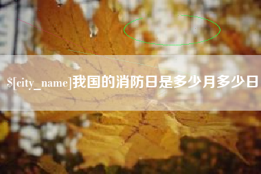 汶上我国的消防日是多少月多少日