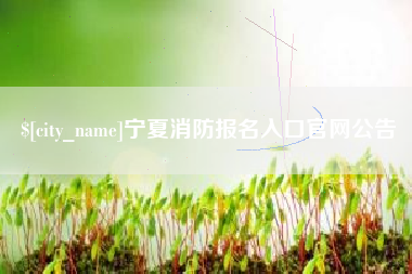 汶上宁夏消防报名入口官网公告