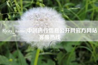 汶上中国执行信息公开网官方网站客服热线