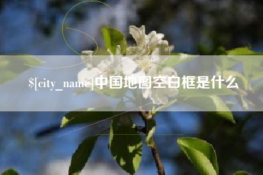 汶上中国地图空白框是什么