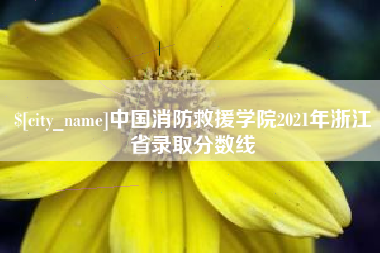 汶上中国消防救援学院2021年浙江省录取分数线