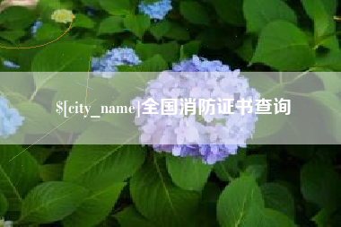汶上全国消防证书查询
