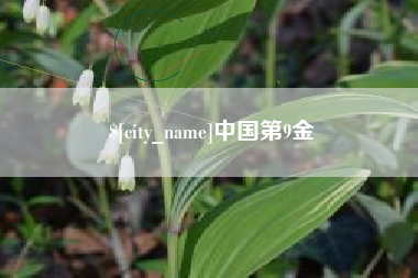 汶上中国第9金