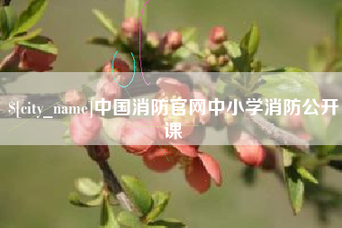 汶上中国消防官网中小学消防公开课