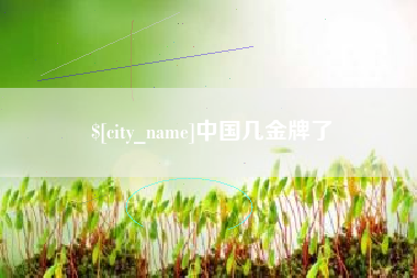 汶上中国几金牌了