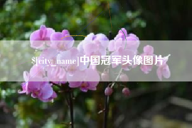 汶上中国冠军头像图片