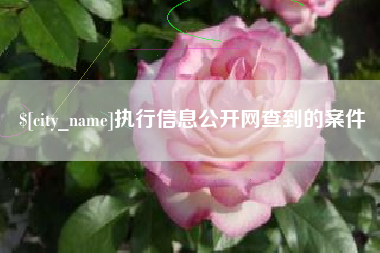 汶上执行信息公开网查到的案件