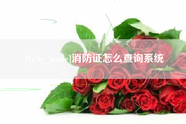 汶上消防证怎么查询系统