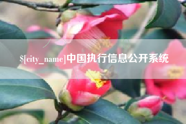 汶上中国执行信息公开系统