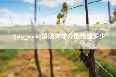汶上消防大学分数线是多少