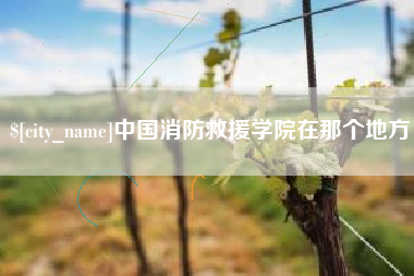 汶上中国消防救援学院在那个地方