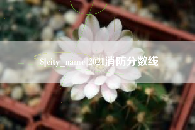 汶上2021消防分数线