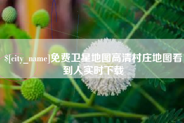 汶上免费卫星地图高清村庄地图看到人实时下载