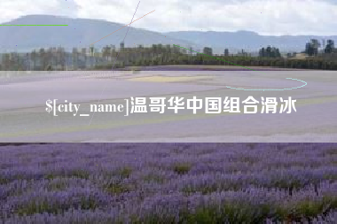 汶上温哥华中国组合滑冰