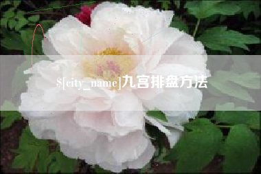 汶上九宫排盘方法