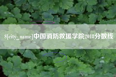 汶上中国消防救援学院2018分数线