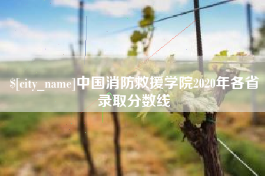 汶上中国消防救援学院2020年各省录取分数线