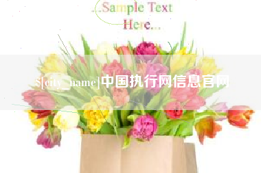 汶上中国执行网信息官网