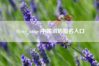 汶上中国消防报名入口