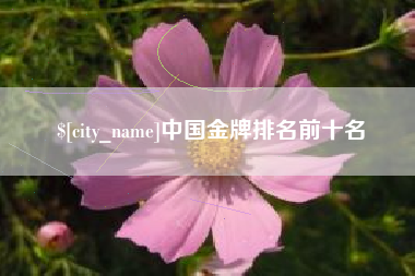 汶上中国金牌排名前十名