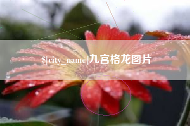 汶上九宫格龙图片