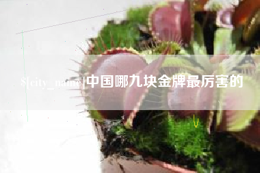 汶上中国哪九块金牌最厉害的