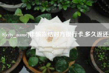 汶上诈骗冻结对方银行卡,多久返还