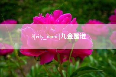 汶上九金是谁