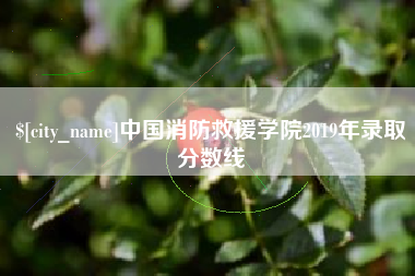 汶上中国消防救援学院2019年录取分数线
