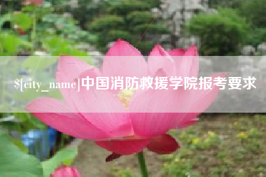 汶上中国消防救援学院报考要求