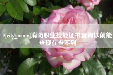汶上消防职业技能证书查询以前能查现在查不到