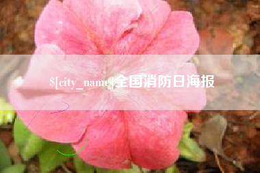 汶上全国消防日海报