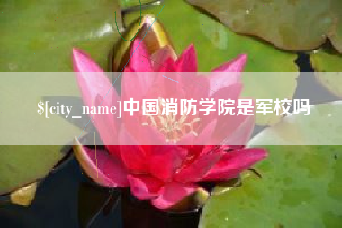 汶上中国消防学院是军校吗