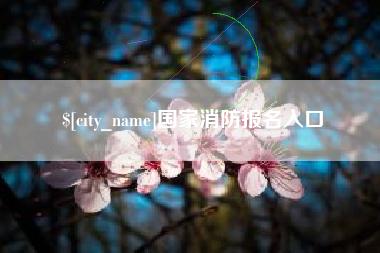 汶上国家消防报名入口