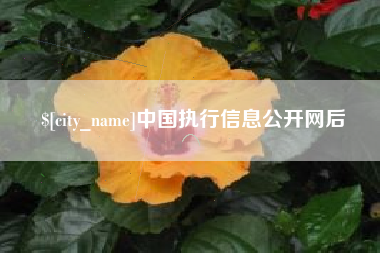 汶上中国执行信息公开网后