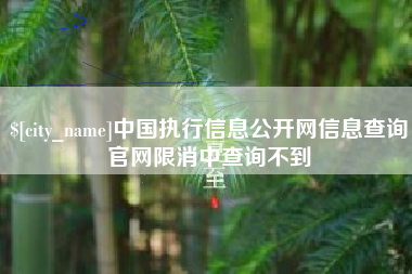汶上中国执行信息公开网信息查询官网限消中查询不到