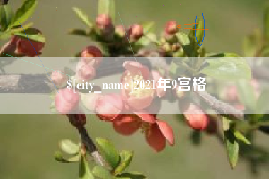 汶上2021年9宫格