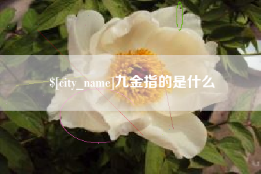 汶上九金指的是什么