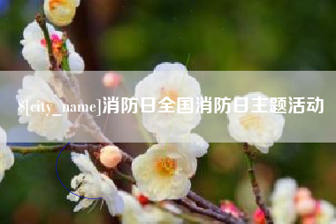 汶上消防日全国消防日主题活动