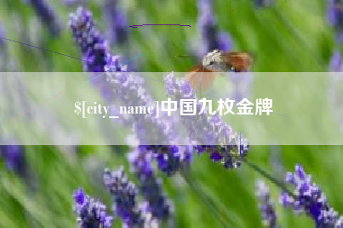 汶上中国九枚金牌