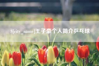 汶上王子豪个人简介乒乓球