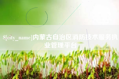汶上内蒙古自治区消防技术服务执业管理平台