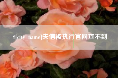 汶上失信被执行官网查不到