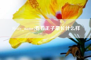 汶上看看王子豪长什么样