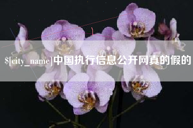 汶上中国执行信息公开网真的假的