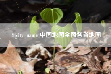 汶上中国地图全图各省地图
