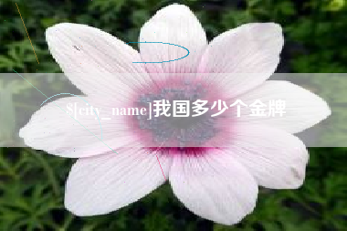 汶上我国多少个金牌
